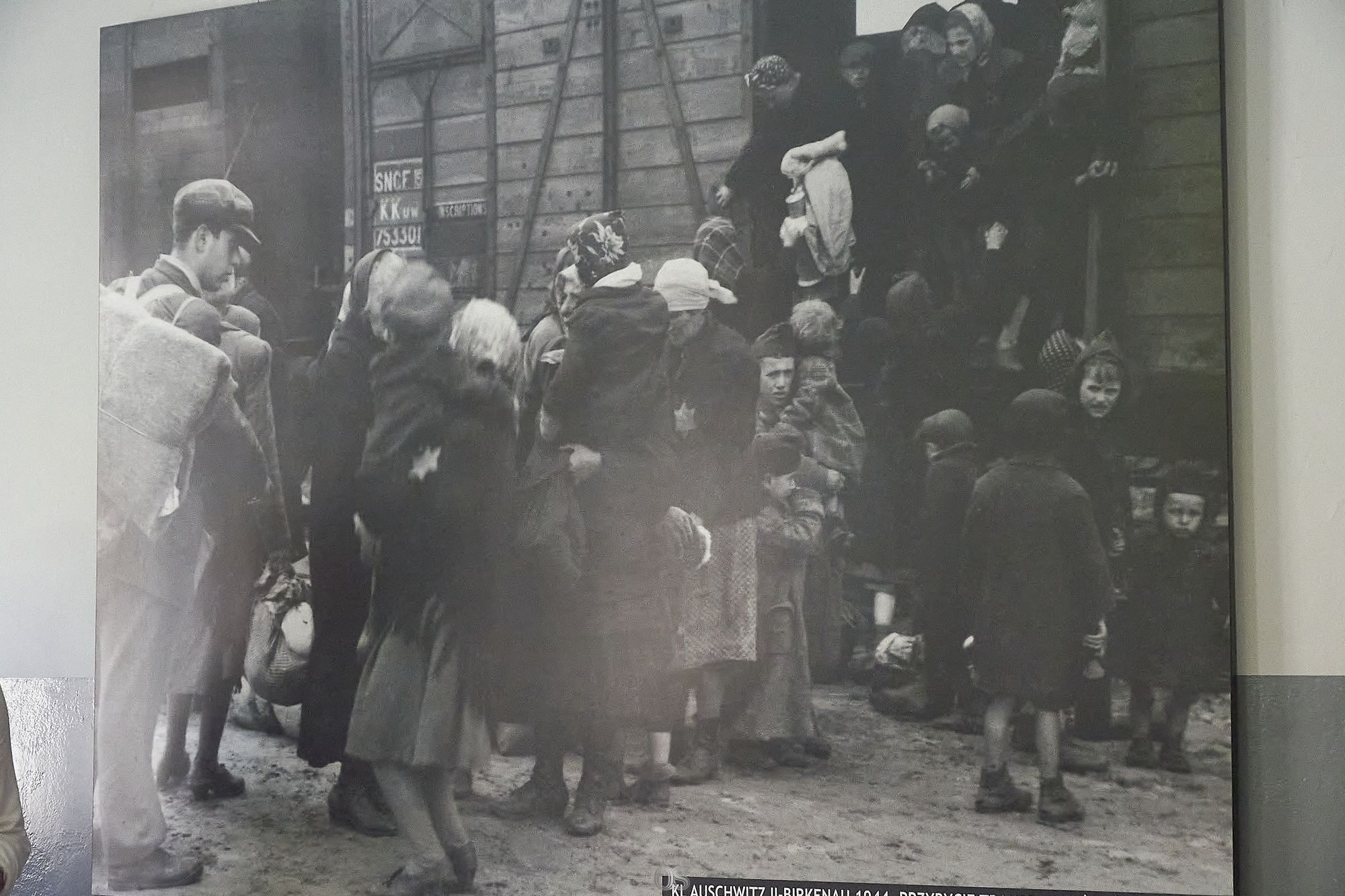Auschwitz 15.jpg
